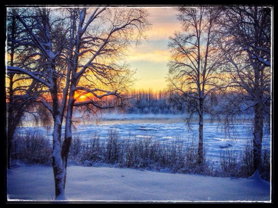 Susitna River Lodging, Riverside Cabins Талкитна Экстерьер фото