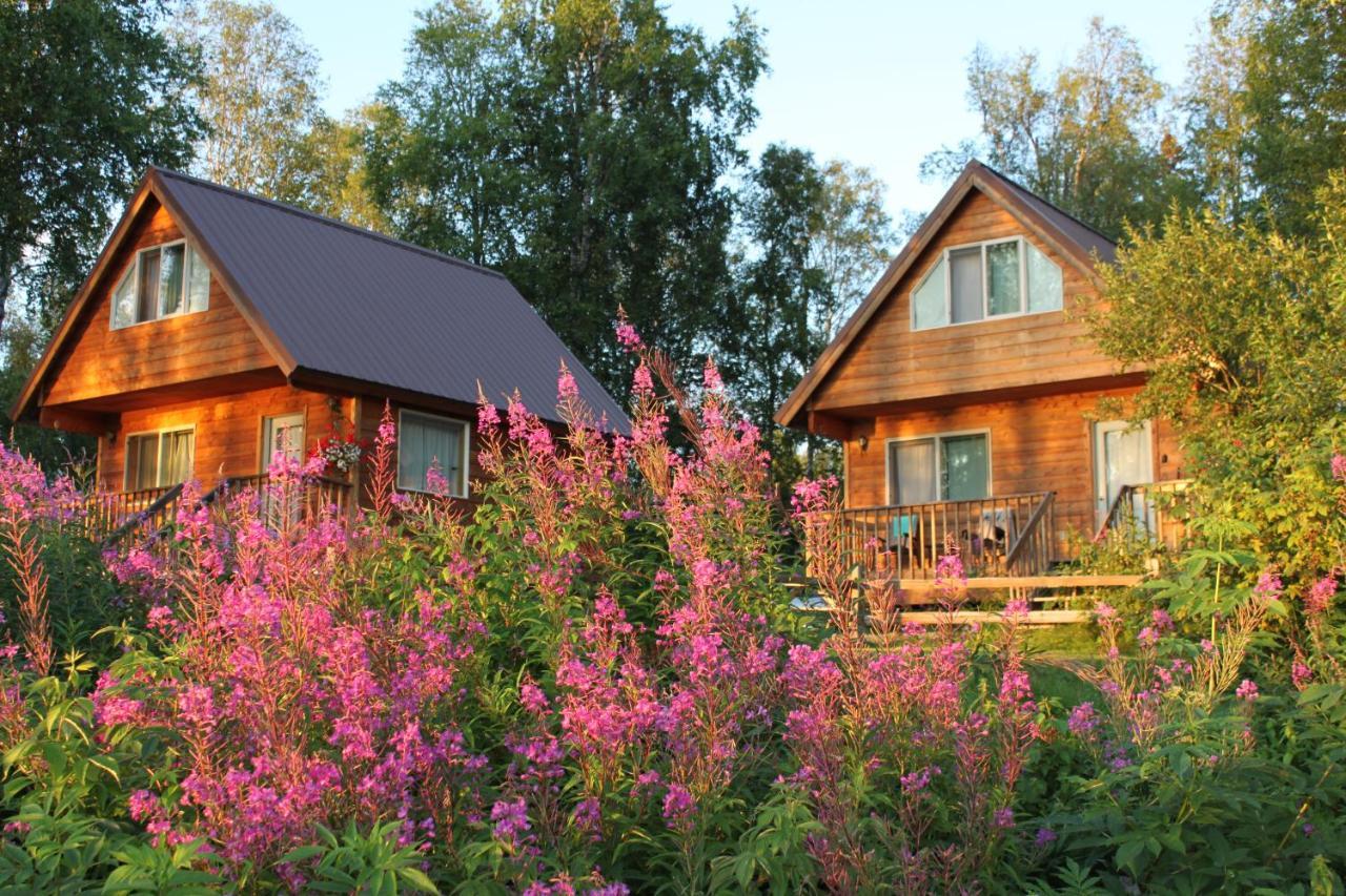 Susitna River Lodging, Riverside Cabins Талкитна Экстерьер фото