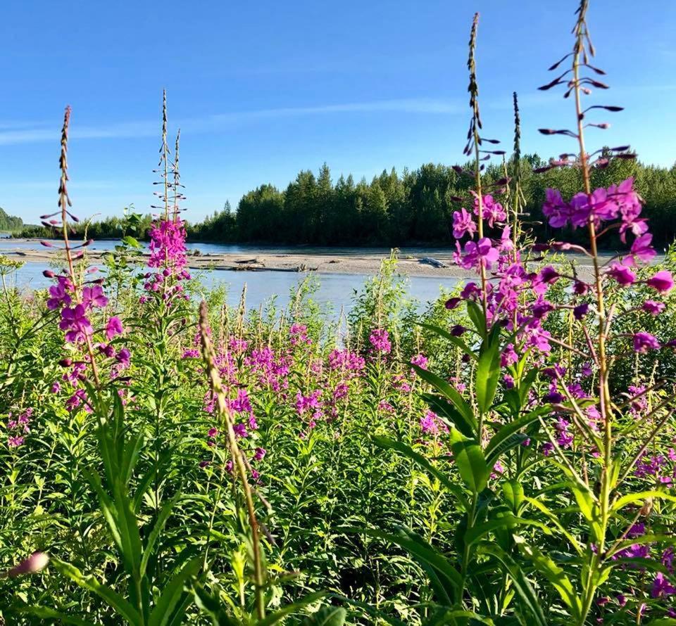 Susitna River Lodging, Riverside Cabins Талкитна Экстерьер фото