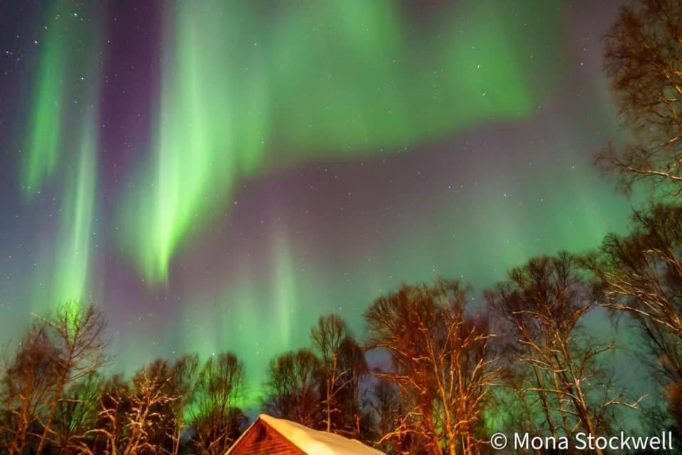 Susitna River Lodging, Riverside Cabins Талкитна Экстерьер фото